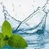 تصویر آب زلال و برگ نعناع نماد رایحههای دریایی و خنک